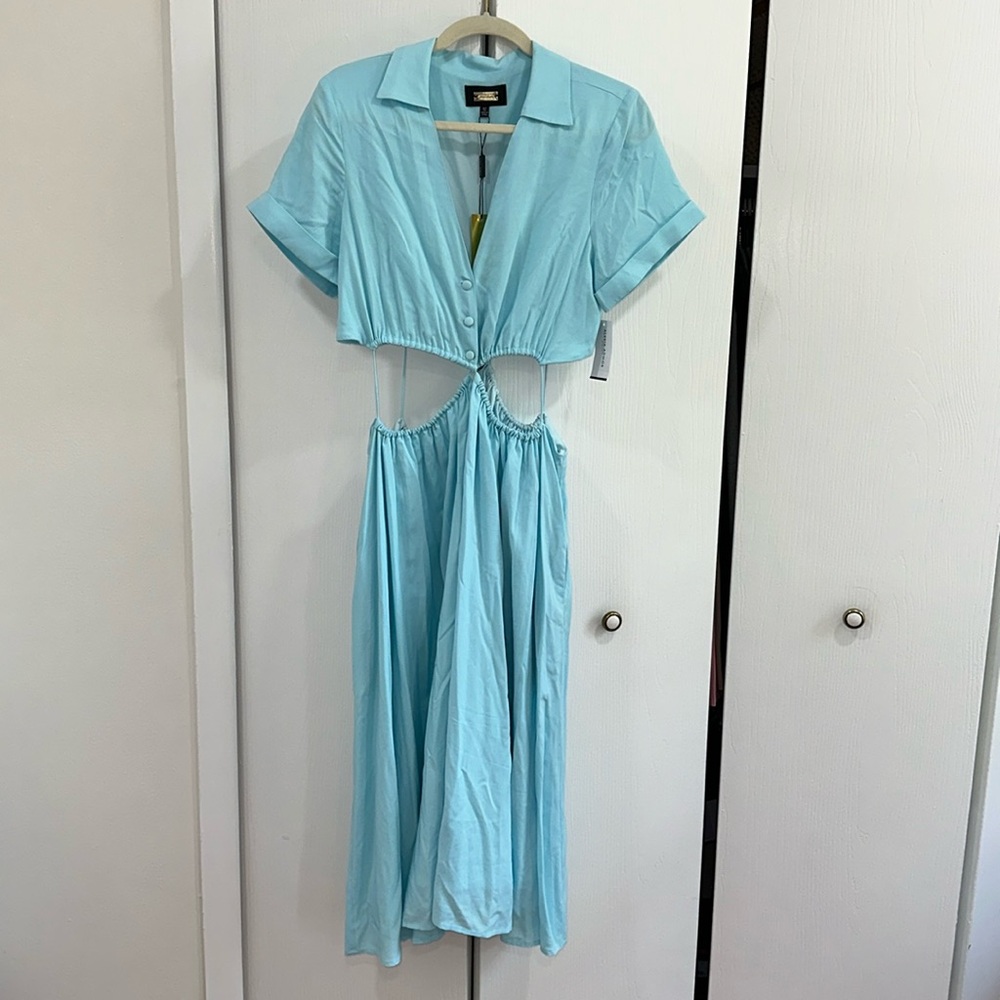NWT Alexia Ardmor dress
